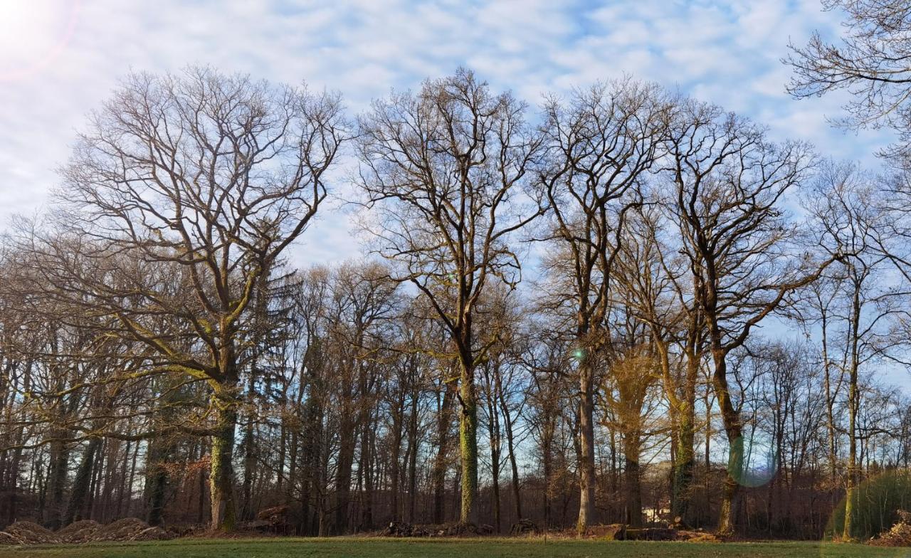Ferienwohnung Aux Domaines D'Automne Peronnas Exterior foto
