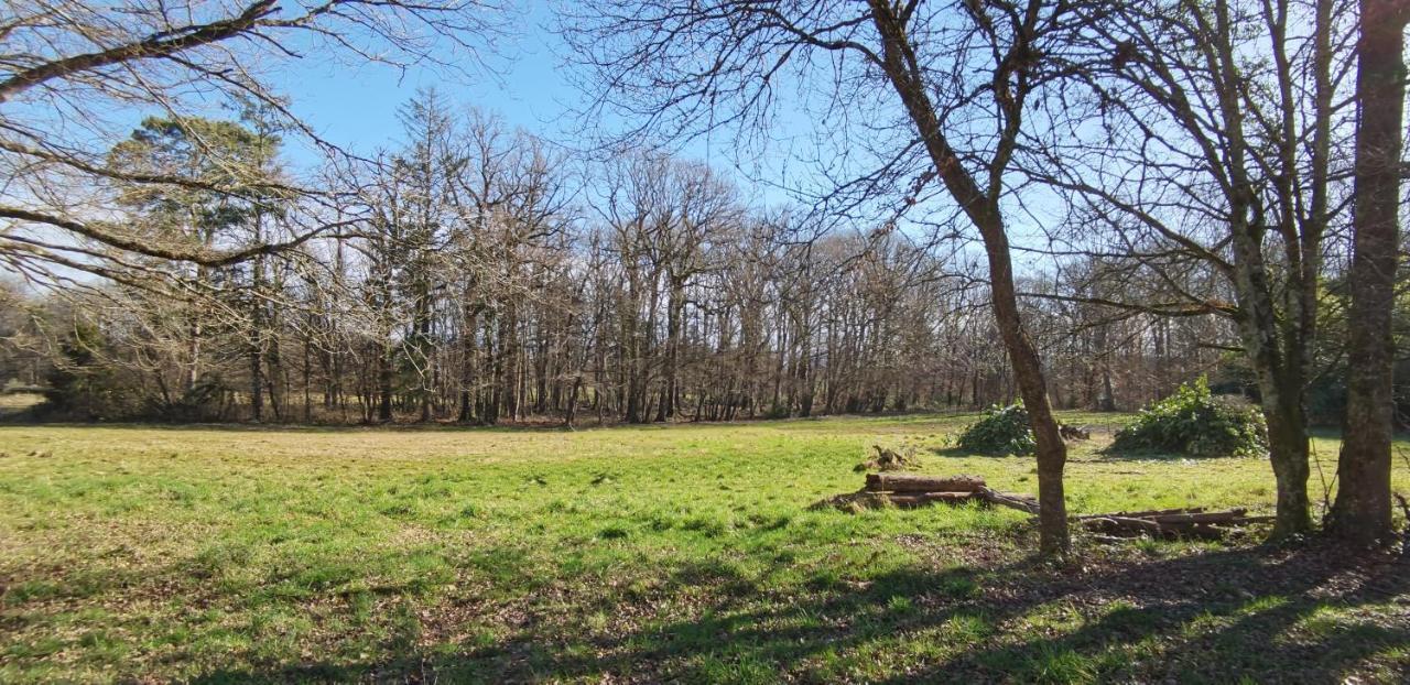 Ferienwohnung Aux Domaines D'Automne Peronnas Exterior foto